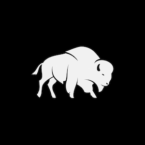 Decal Sticker Bison Buffalo American nature Top quality vinyl weatherproof KR449