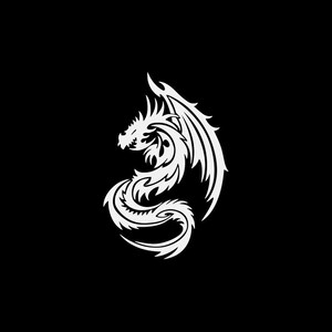 Arti marziali di Decal Sticker drago bestia leggendaria creatura alata corni demone sputare fuoco mito Medioevo nominativo draco draconem WRS48