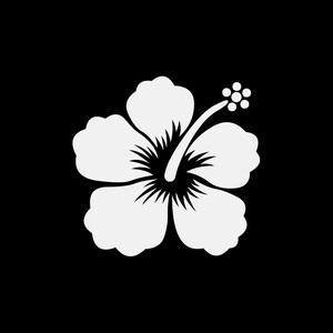 Aufkleber Aufkleber Hibiskus Blumen Strand Riff Zimmer Dekoration Surfer Surfbrett Sommer Reisen Urlaub WW9X5