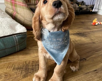It's My Gotcha Day Bandana - Handmade Dog Accessory - Custom Bandana