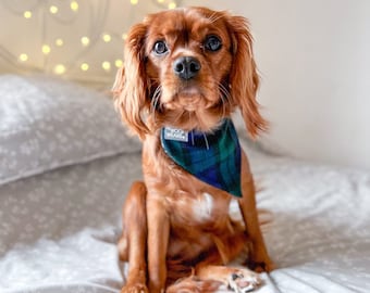 Blue & Green Plaid Bandana