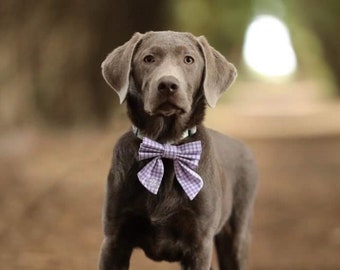 Lilac Crisscross Sailor Bow/ Bow Tie - Dog Accessories