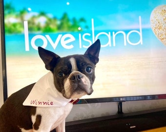 Pup Island Dog Bandana