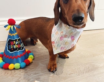 Party Bandana