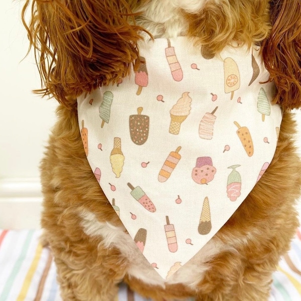 Popsicle Bandana