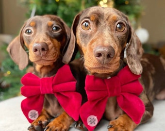 Red Velvet Sailor Bow/ Bow Tie - Over The Collar - Dog Accessories