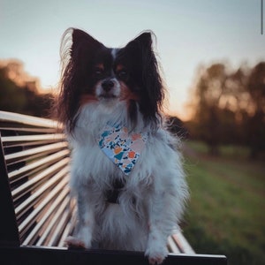 Pañuelo de mosaico para perro - Para el collar - Pañuelo personalizado - Accesorios para perros - Pañuelo de verano para perro