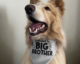Promoted To Big Brother Bandana - baby announcement - dog bandana - handmade pet accessories