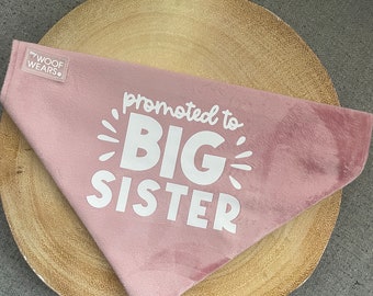 Promoted To Big Sister Bandana - Over The Collar - Dog Accessories - Baby Announcement - Dog Sister