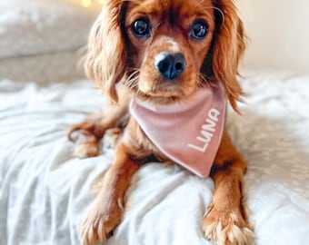 Blush Pink Velvet Bandana - Dog Bandana - Personalised Bandana - Dog Accessories