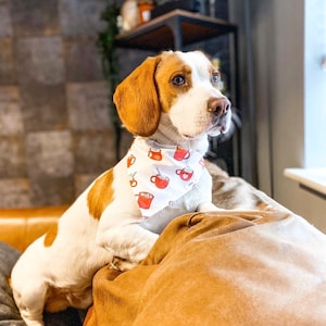 Warme chocolademelkbandana - winterhondaccessoire - handgemaakt over de halsband Hondenaccessoires - bandana op maat