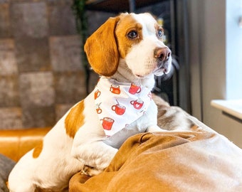 Hot Chocolate Bandana