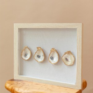 Oyster Shell Shadow Box (4 oysters) - Natural Frame