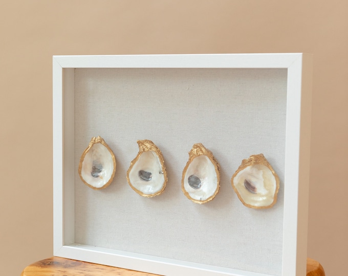 Oyster Shell Shadow Box (4 Oysters) - Etsy