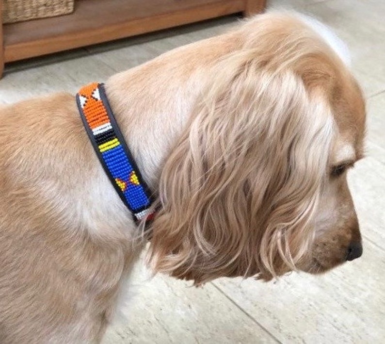 Beaded Leather Dog Collars small Breeds Neck Etsy UK