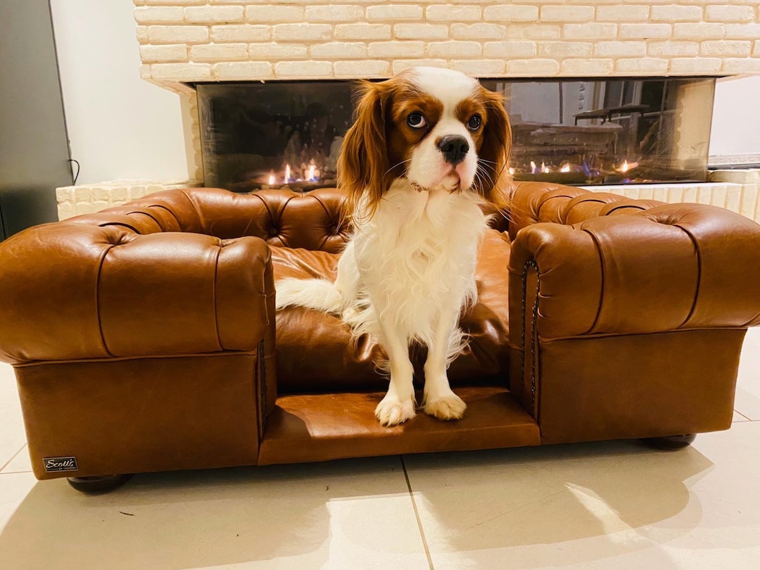 Luxury balmoral Dog Bed Natural Tan Real Leather Chesterfield Style Handcrafted in the UK Etsy UK