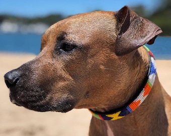 Beaded leather dog Collars - &quot;Small breeds&quot; - Neck size 12-14&quot; (30-36cm) - 3/4&quot; (2cm) wide. Fast-Tracked delivery from UK