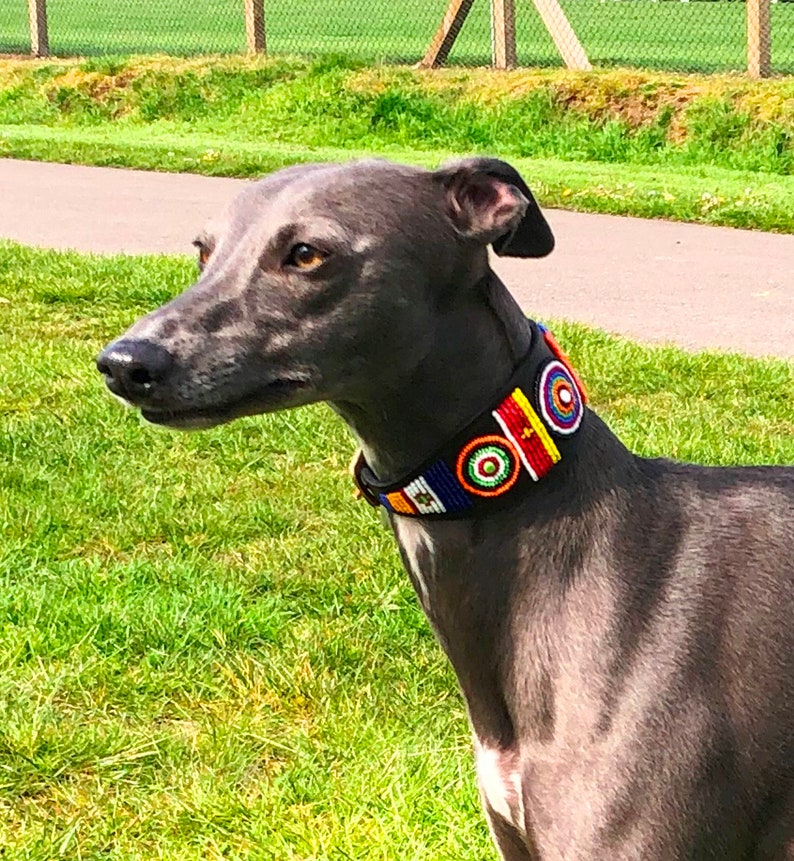 Beaded Leather Whippet Dog Collars Neck Size 1113 Etsy