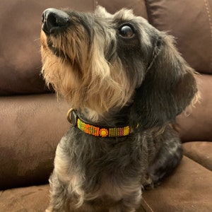 Beaded leather Dog Collars Small breeds 11-13 28-34cm Neck size 1/2 1.5cm wide. Fast-Tracked delivery from UK 画像 8