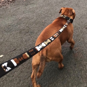 May include: A brown dog with a black and white patterned leash walks on a gray asphalt path.