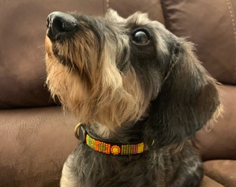 "Hundehalsbänder aus echtem Leder - ""Puppy & Zwergenrassen"" - Halsband 23-29cm - Breite 1,5cm"