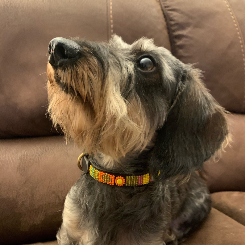 Beaded Leather Dog Lead Collar Sets small Etsy UK