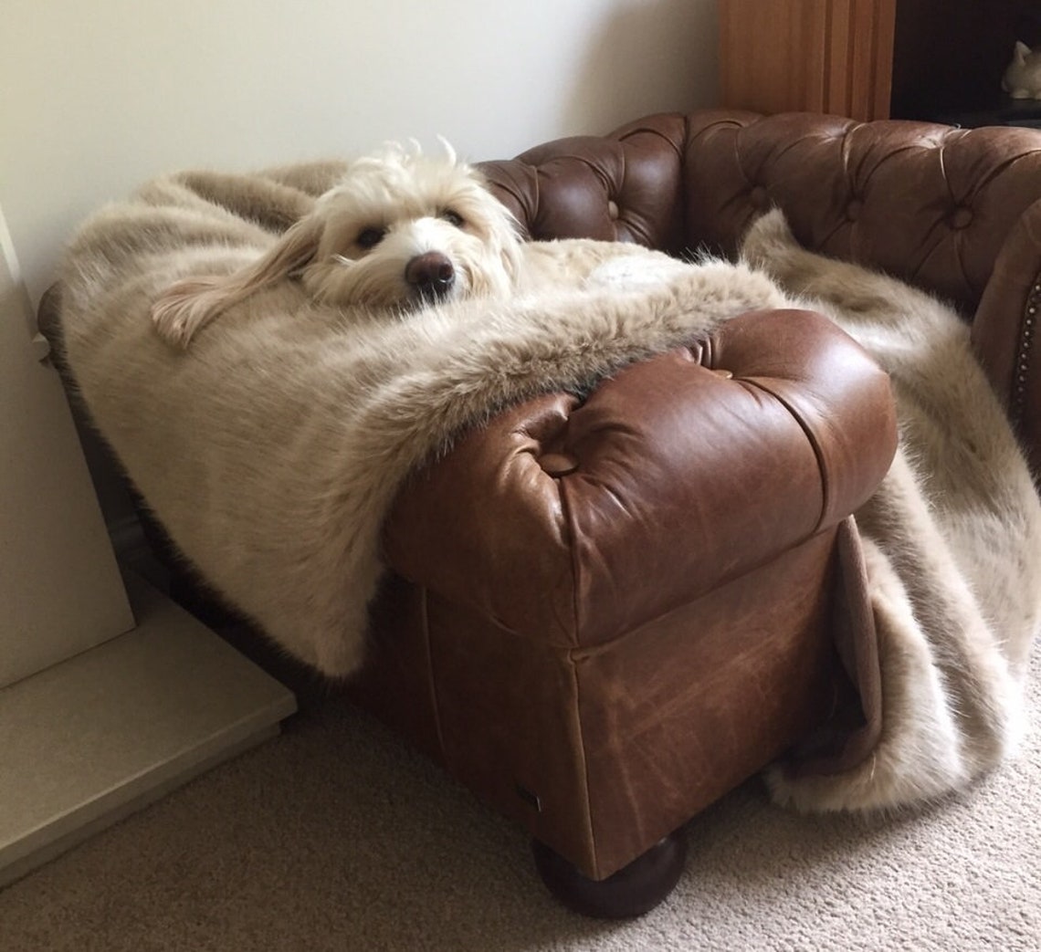 Luxury 'Balmoral' Dog bed Natural Tan Real leather Etsy