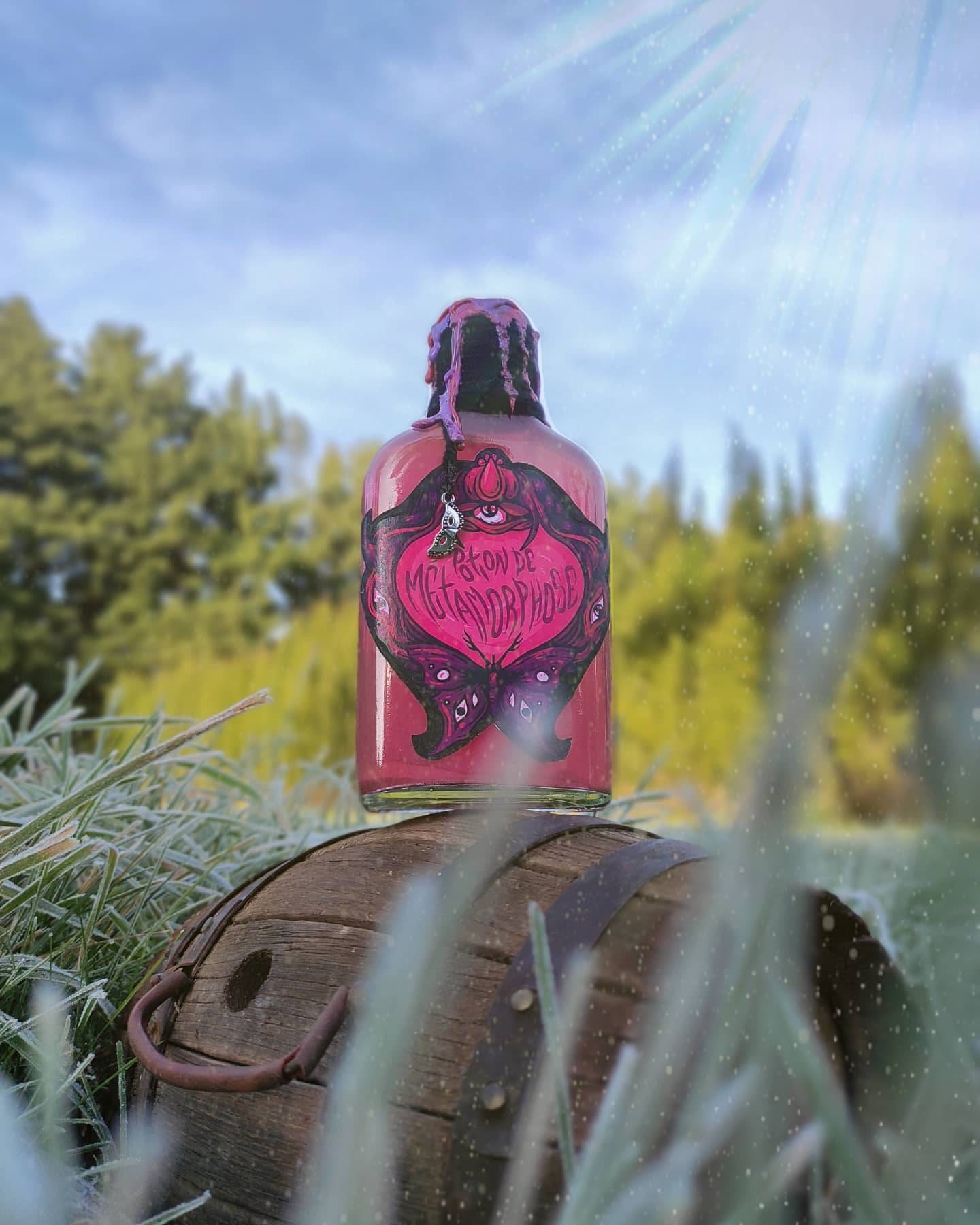 Potion de Métamorphose