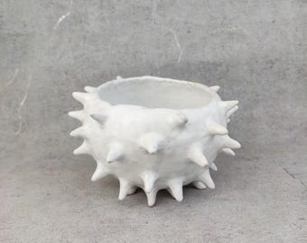 Ciotola per cactus in ceramica fatta a mano: ceramica bianca moderna