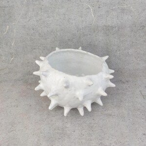 May include: A white ceramic bowl with a spiky, textured exterior. The bowl has a round shape with a wide opening and is suitable for holding small plants or decorative items. The bowl's dimensions are approximately 6 inches in diameter and 4 inches in height.