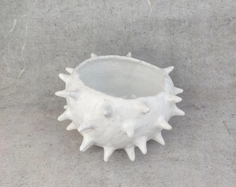 Ciotola per cactus in ceramica fatta a mano: ceramica bianca con piedini