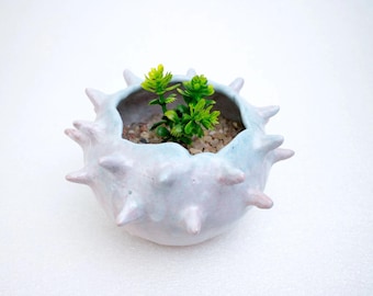 Vaso per cactus in ceramica fatto a mano: gres bianco crema e verde