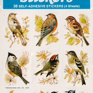 Vintage 1980s 1990s 2000s Eureka Wild Birds, Song Birds Sticker Sheet, Brandywine Art 1970s