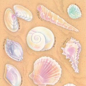 May include: A collection of nine colorful seashells with various shapes and sizes. The shells are on a light brown background. The shells are all different colors, including pink, purple, blue, green, and white.