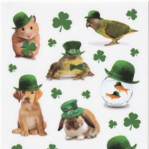 Feuille d'autocollants American Greetings, super mignons animaux de compagnie habillés pour la Saint-Patrick, hamster, poisson rouge !, perruche, chien, souris, grenouille