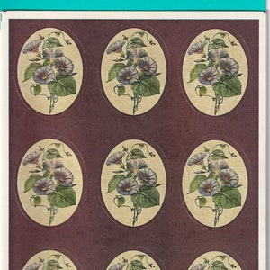 1980s 1990s 2000s Vintage Sticker Sheet by Hallmark, Gorgeous Dark Plum Background with Morning Glory Flowers in Oval Shapes - Beautiful!
