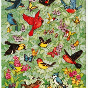 May include: A colorful illustration featuring various birds and butterflies amidst foliage and flowers. The birds display a range of colors, including red, blue, yellow, and black. Butterflies in shades of yellow and blue are also present.