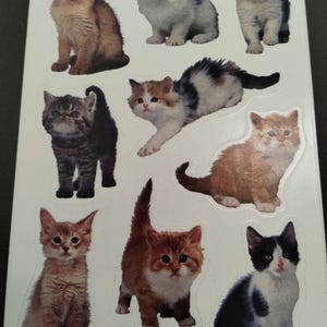 Vintage 1980s 1990s various Kitty Cat Breeds Single (1) Sticker Sheet by American Greetings