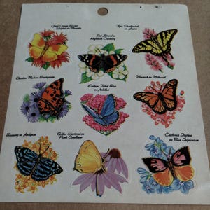 Feuille d'autocollants vintage God's Beautiful Butterflies des années 1990 par Redi-Stix, Standard Publishing v. 1999