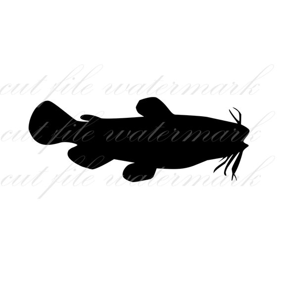 Download Craft Supplies Tools Cat Fish Cut Files Svg Studio 3 File For Silhouette Brother Cricut Cutouts Decals Designs Svgs Cutout Stencil Stencils Fishing Catfish Materials
