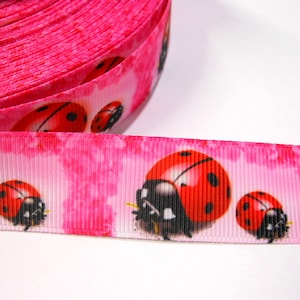 2,30  Euro/m Marienkäfer   22 mm  Borte Ripsband, Frühling, Sommer,