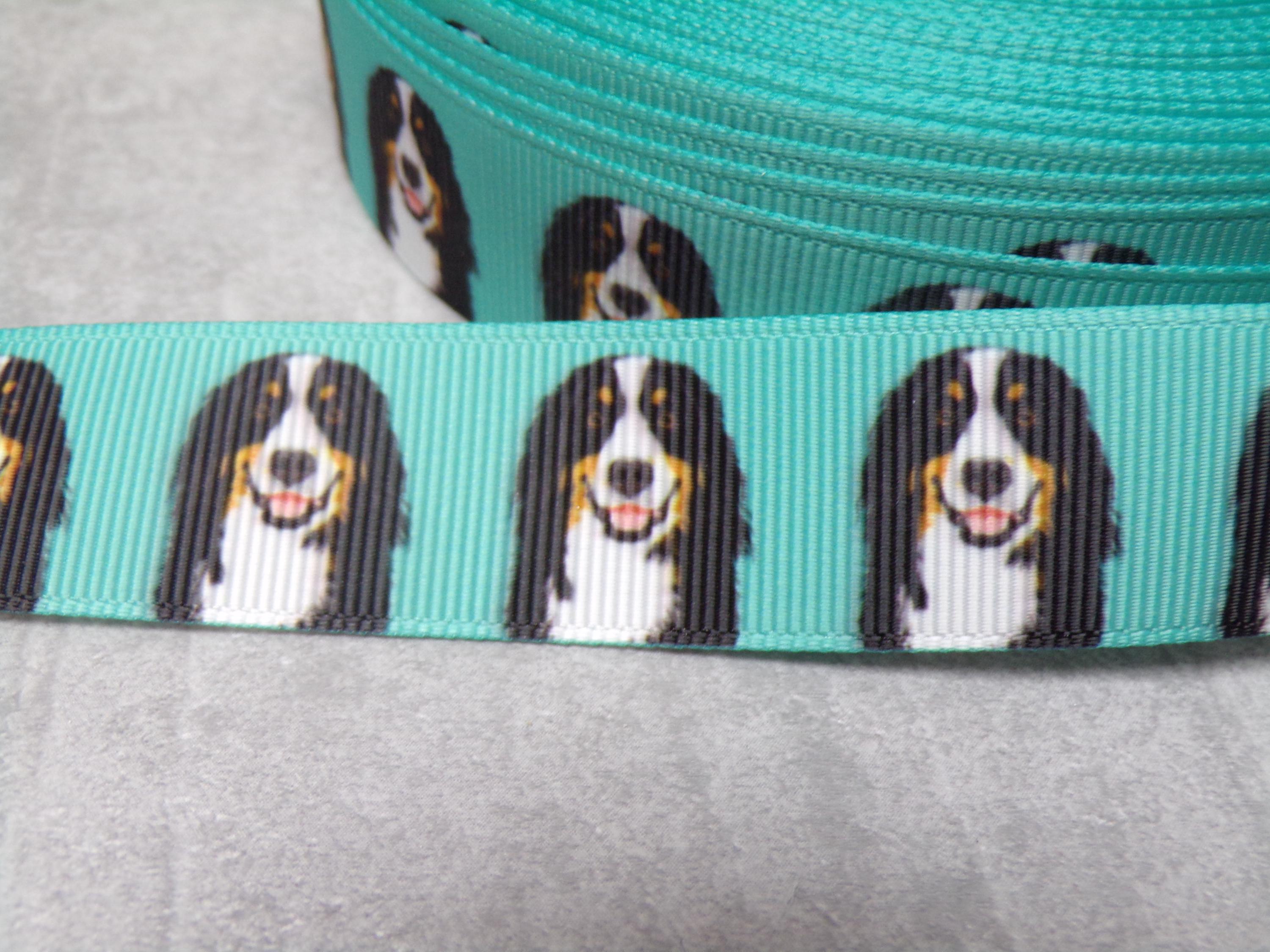 Berner sennenhund halsband - Etsy.de