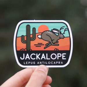 Puede incluir: Una pegatina con un jackalope de dibujos animados, un conejo con cuernos, corriendo a trav&eacute;s de un paisaje des&eacute;rtico con un cactus y una puesta de sol. La pegatina dice "Jackalope" y "Lepus Antilocapra".