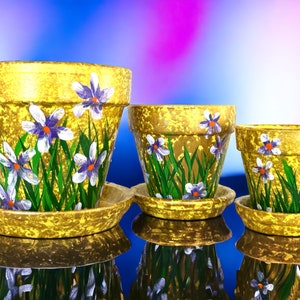 Flower Pot Set, Hand Painted Terra-cotta Clay Pots with saucer
