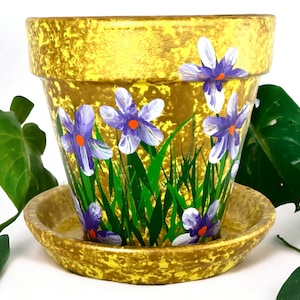 Hand Painted Flower Pot, 6 Inch Terra-cotta Clay Pot with saucer.