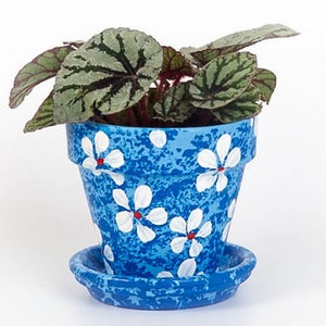 May include: A blue terracotta flower pot with white flowers and red centers. The pot has a white speckled glaze and a matching saucer.