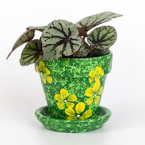May include: A green terracotta planter with yellow flowers painted on it. The planter has a matching saucer and is filled with a leafy green plant.