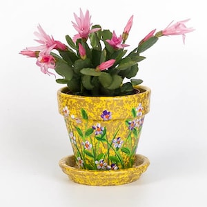 Flower Pot, 4 Inch Terra-cotta Clay Pot, Hand Painted  , Mom, Dad, Grandma, Aunt, Gift, Teacher, Housewarming, Home Decor