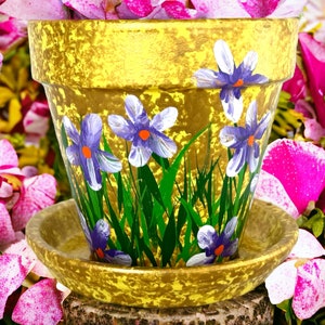 Hand Painted Flower Pot, 4 Inch Terra-cotta Clay Pot with saucer.
