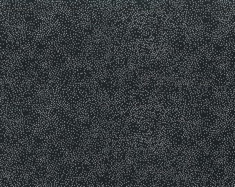 BC31Q-X BeColourful Silver Dots